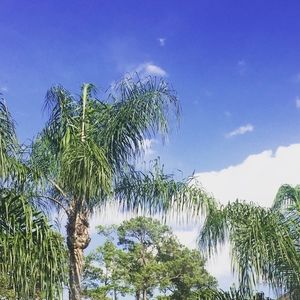 Meet your Posher, Morgan